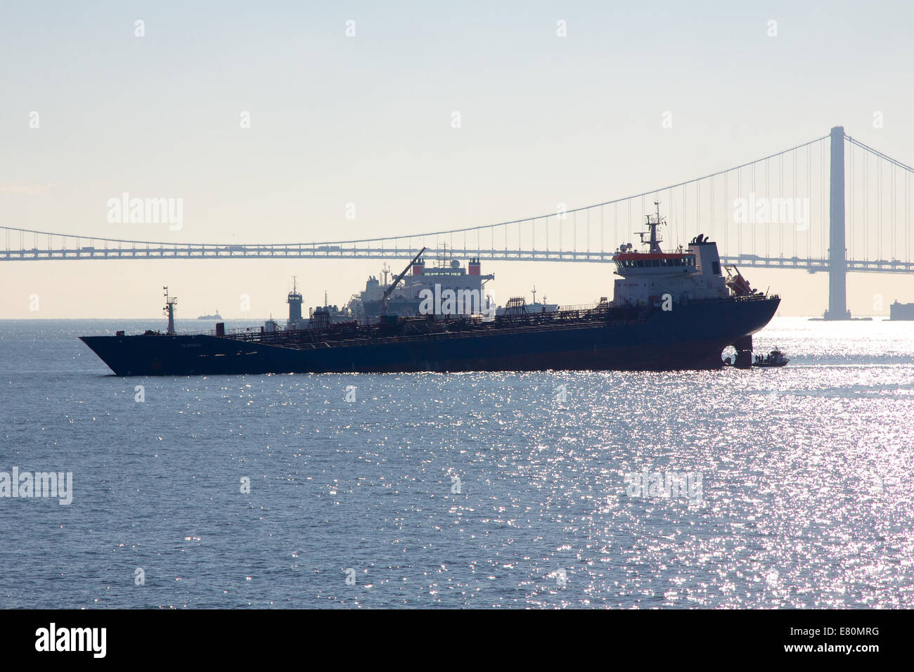 Scatafascio freighter nel porto di New York settimane dopo l uragano Sandy in New York, NY, STATI UNITI D'AMERICA in autunno 2012. Foto Stock