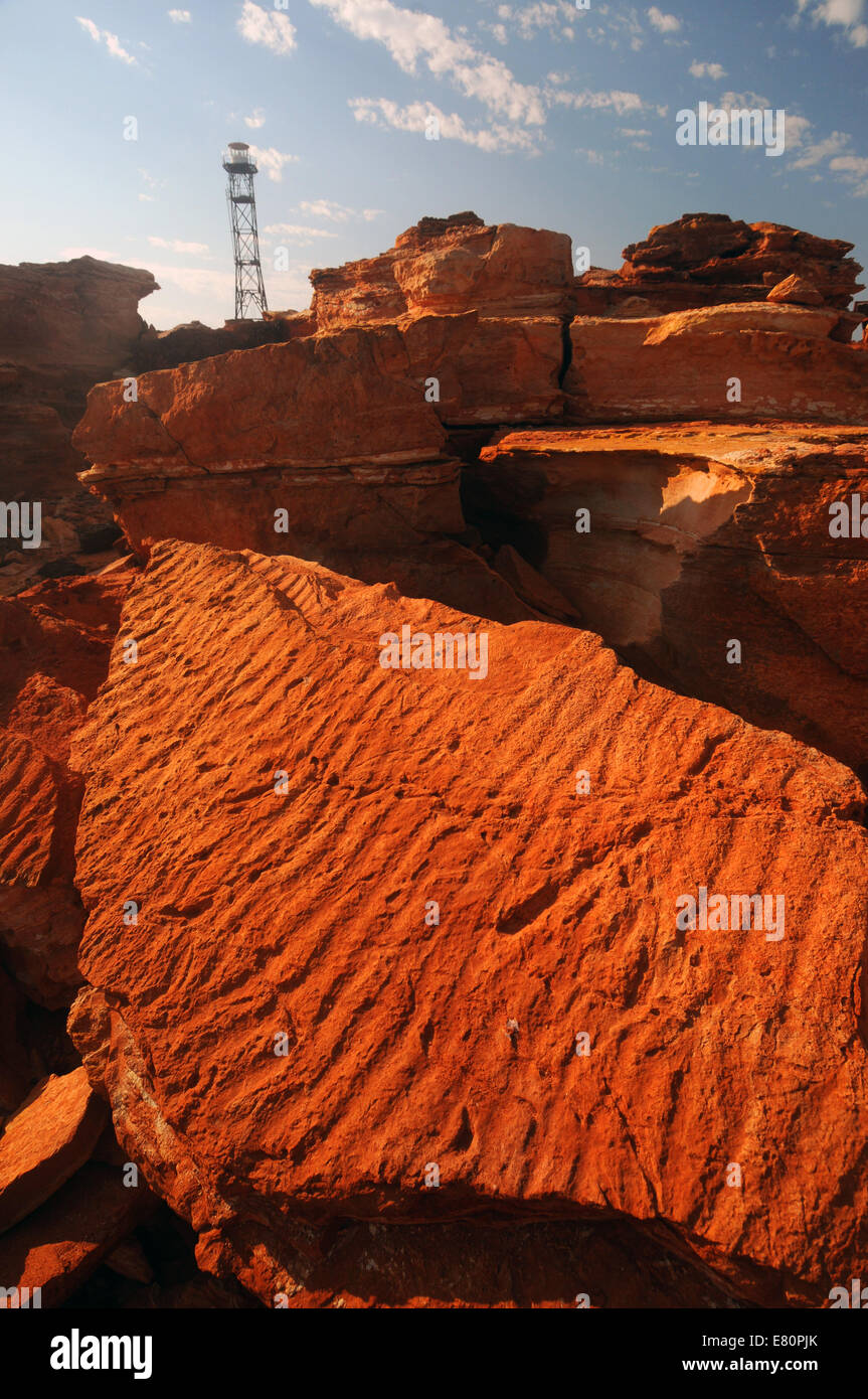 Fossilizzato ondulazioni di sabbia in antiche rocce A Gantheaume Point, Broome, regione di Kimberley, Western Australia. N. PR Foto Stock