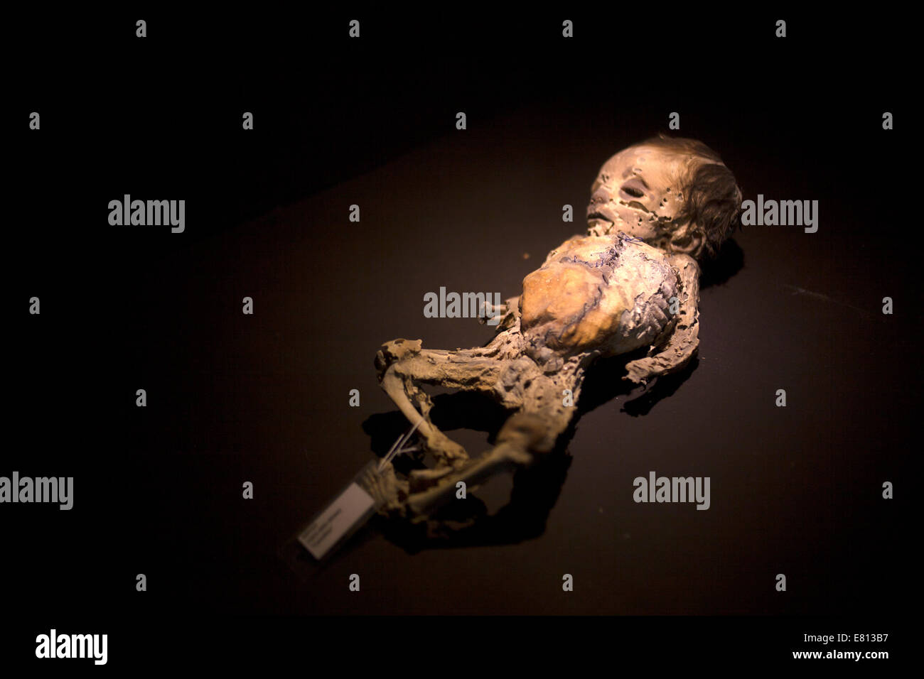 Il corpo di un bambino nel Museo delle Mummie (Museo de las Momias), Guanajuato, Messico Foto Stock