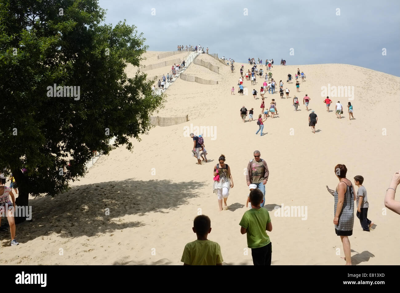 La Duna del Pilat le piú alte dune di sabbia in Europa si trova a La Teste de Buch nella baia di Arcachon Francia area. Foto Stock