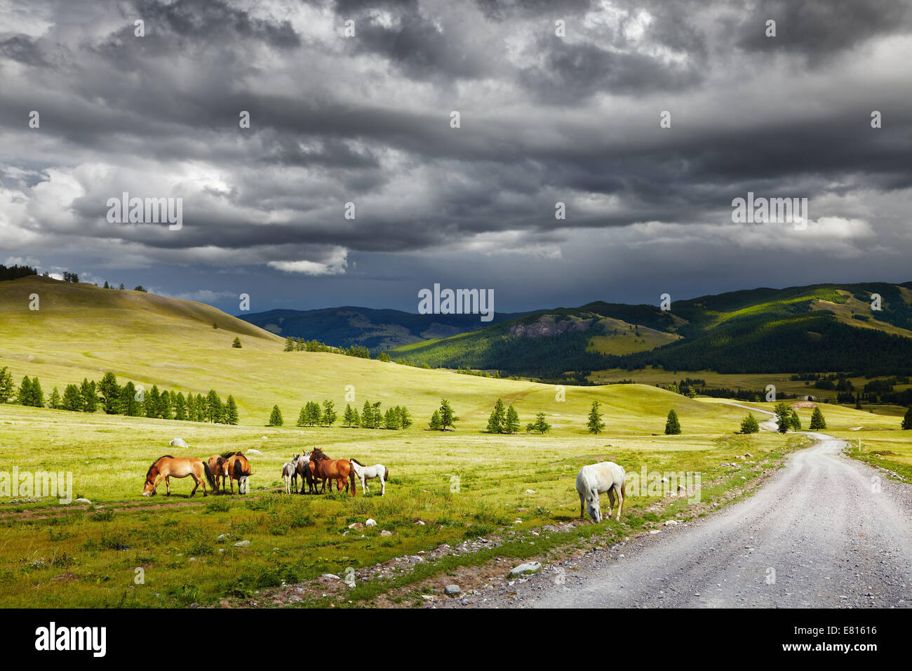 Paesaggio di montagna con cavalli al pascolo e nuvole di tempesta Foto Stock