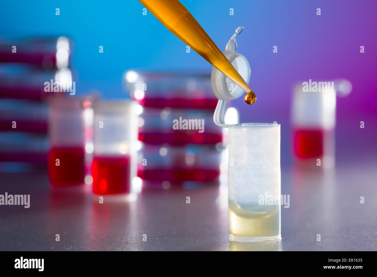 Della ricerca sulle allergie in laboratorio, piastra di petri e la pipetta Foto Stock