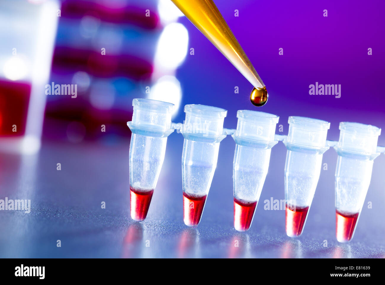 Ricerca reprogenetics in laboratorio, provette e pipettare Foto Stock