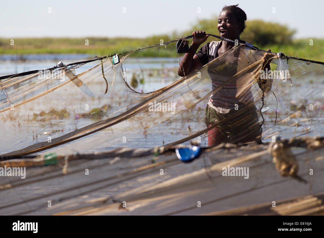 Fisherwoman controlla le reti di Bangweulu zone umide, Zambia Foto Stock