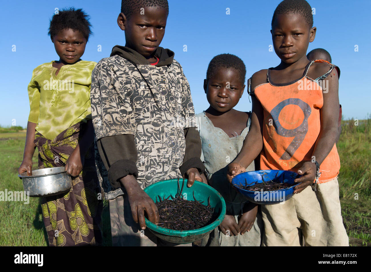 Kids scavare dei worm per essere utilizzata per la pesca in zone umide Bangweulu, Zambia Foto Stock