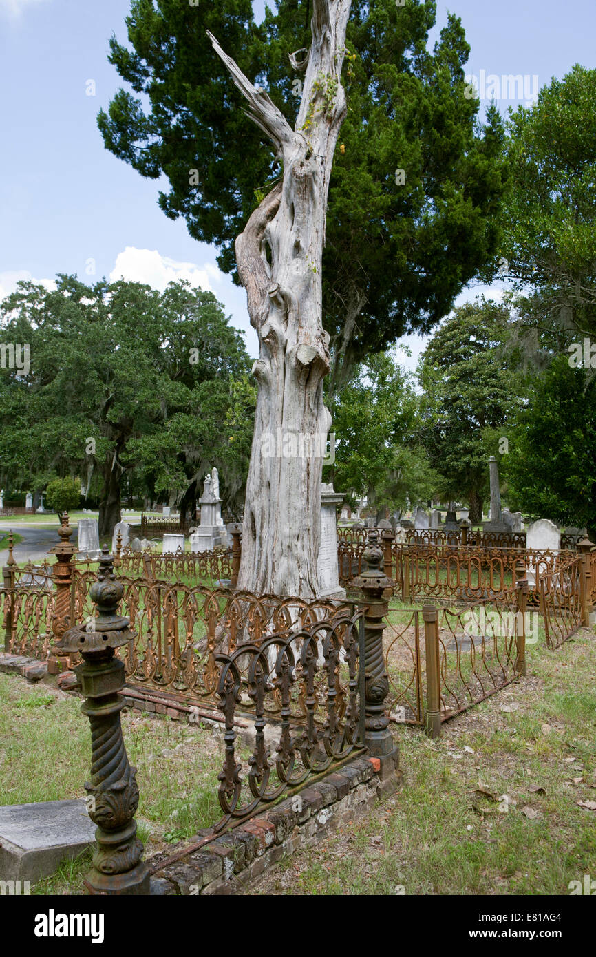 Tomba di famiglia tenute nel cimitero di Magnolia, Charleston, Carolina del Sud Foto Stock