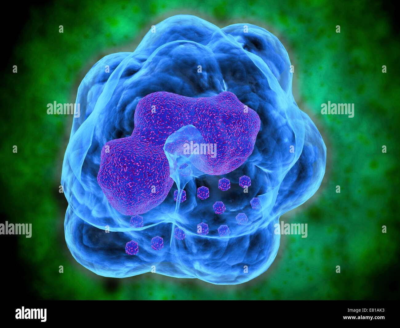 Immagine concettuale dei basofili. I basofili sono parte del vostro sistema immunitario che normalmente protegge il vostro corpo da infezione, ma può Foto Stock