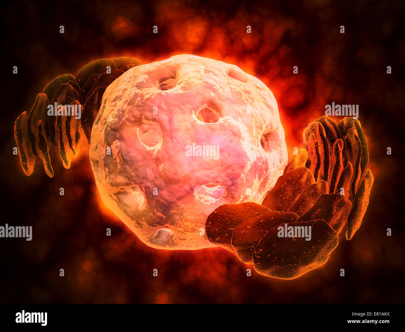 Immagine concettuale del reticolo endoplasmatico intorno a un nucleo cellulare. Il reticolo endoplasmatico è un organulo che forma un continuo m Foto Stock