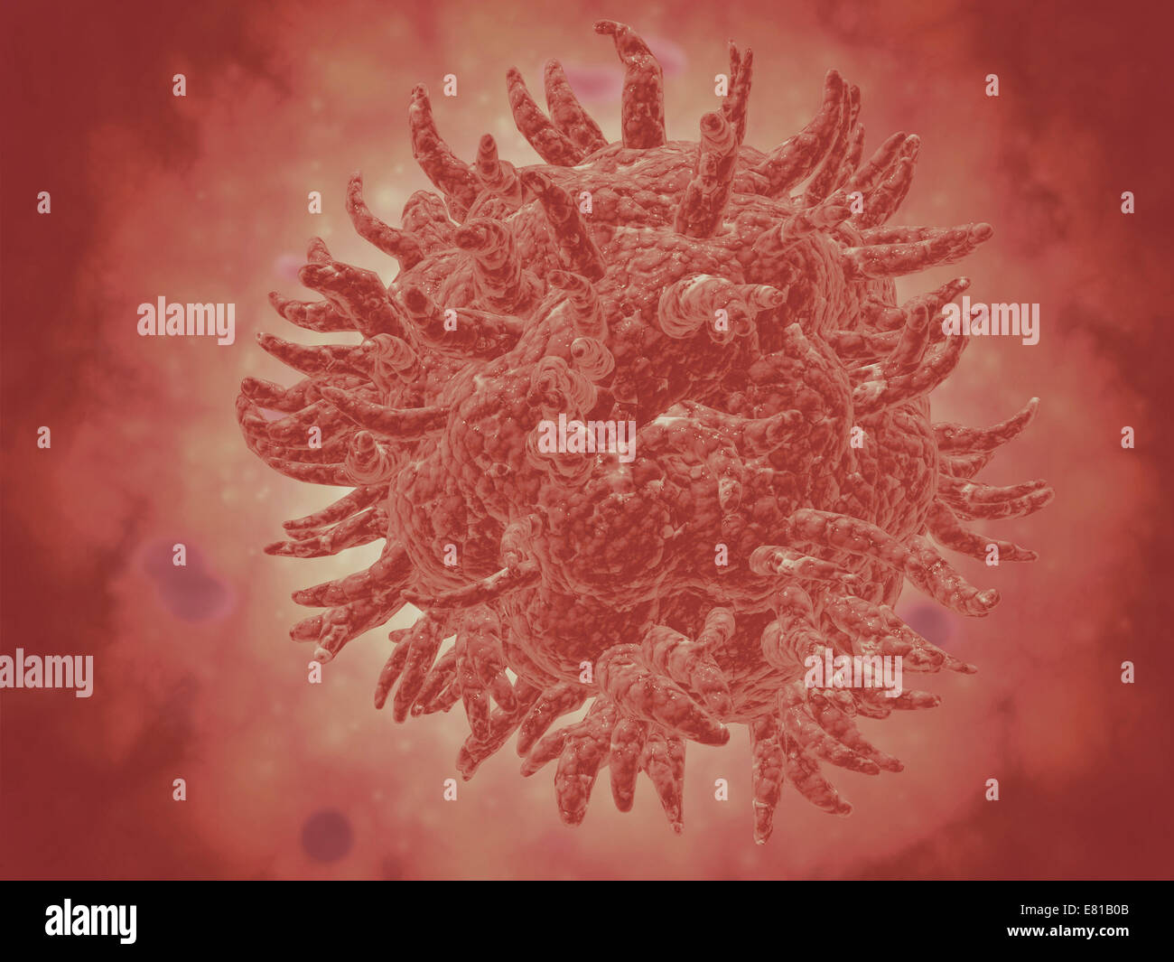 Vista microscopica del virus della febbre gialla. La febbre gialla è una grave malattia virale. Foto Stock