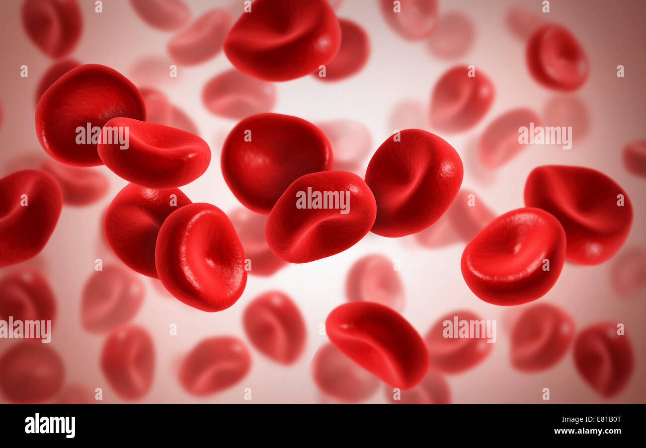 Vista microscopico delle cellule del sangue. Foto Stock