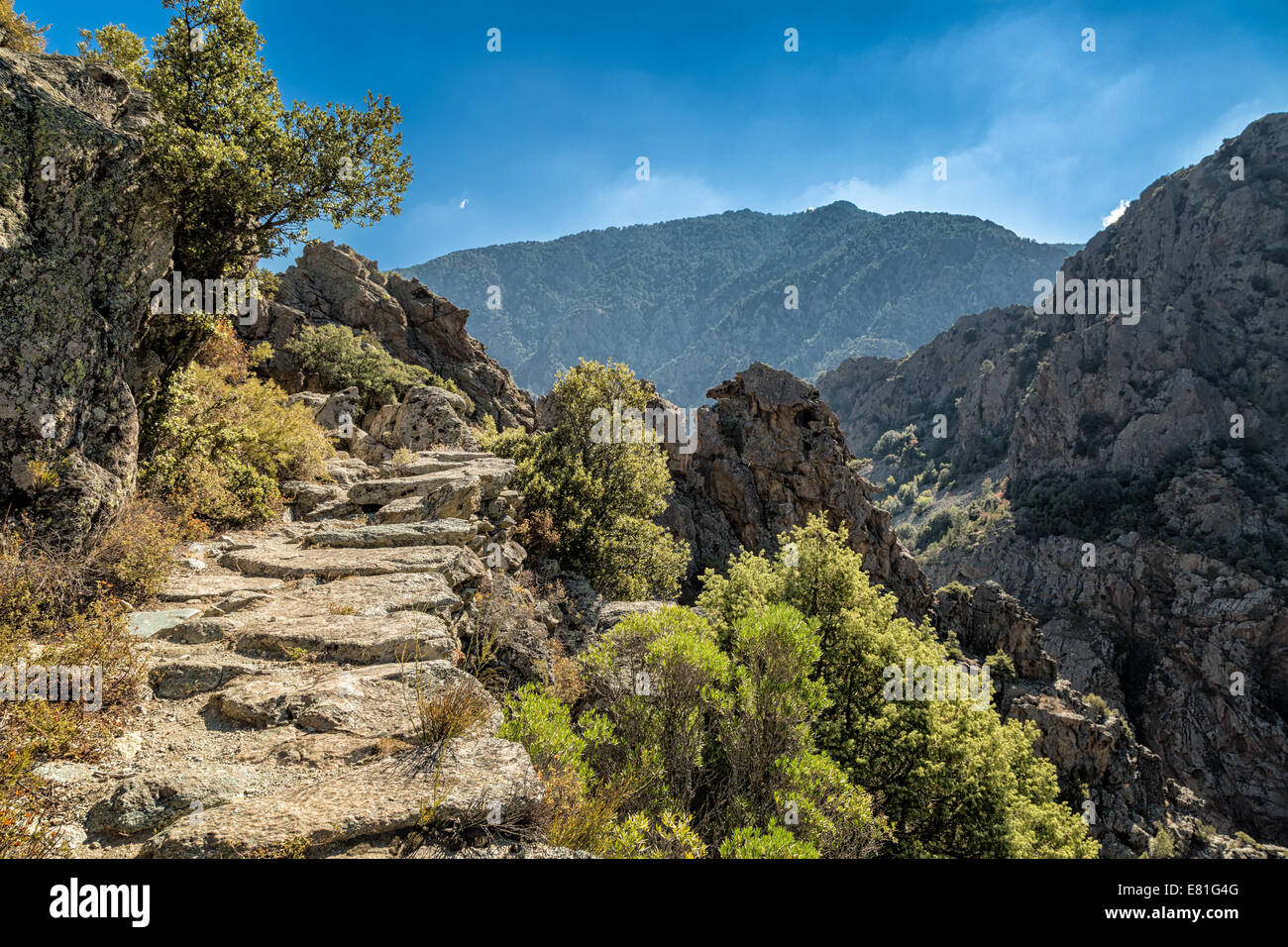Un sentiero roccioso sulla Scala di Santa Regina trail in Corsica centrale vicino Corscia Foto Stock