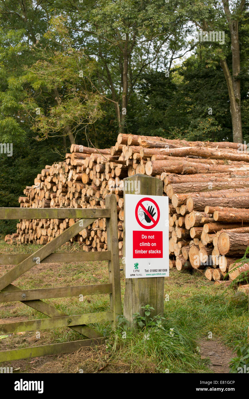 Sicurezza e salute 'Non salire sul legname stack' segno di fronte di taglio di alberi in un bosco di campo. Regno Unito Foto Stock