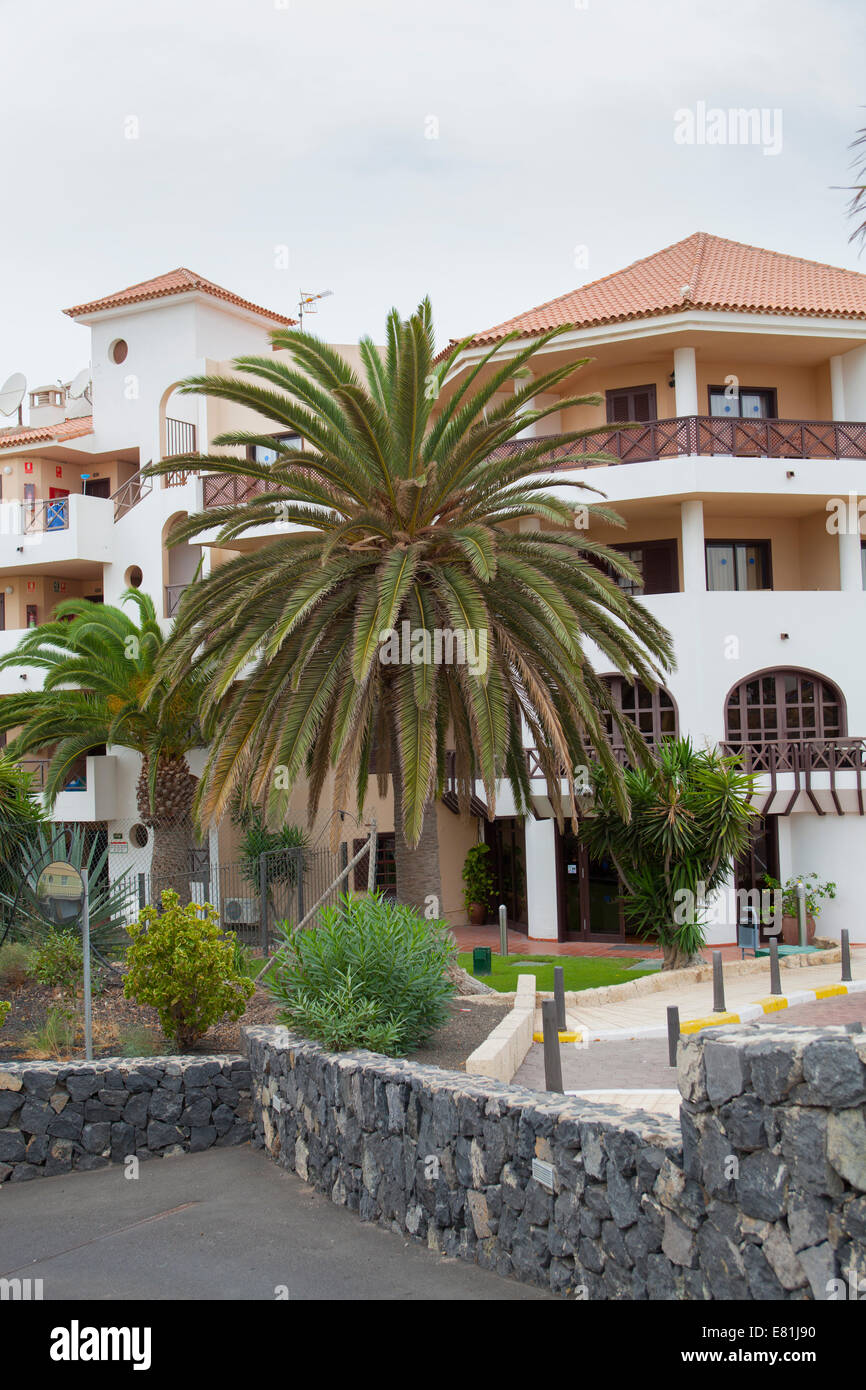 Vista del palm tree e hotel Foto Stock