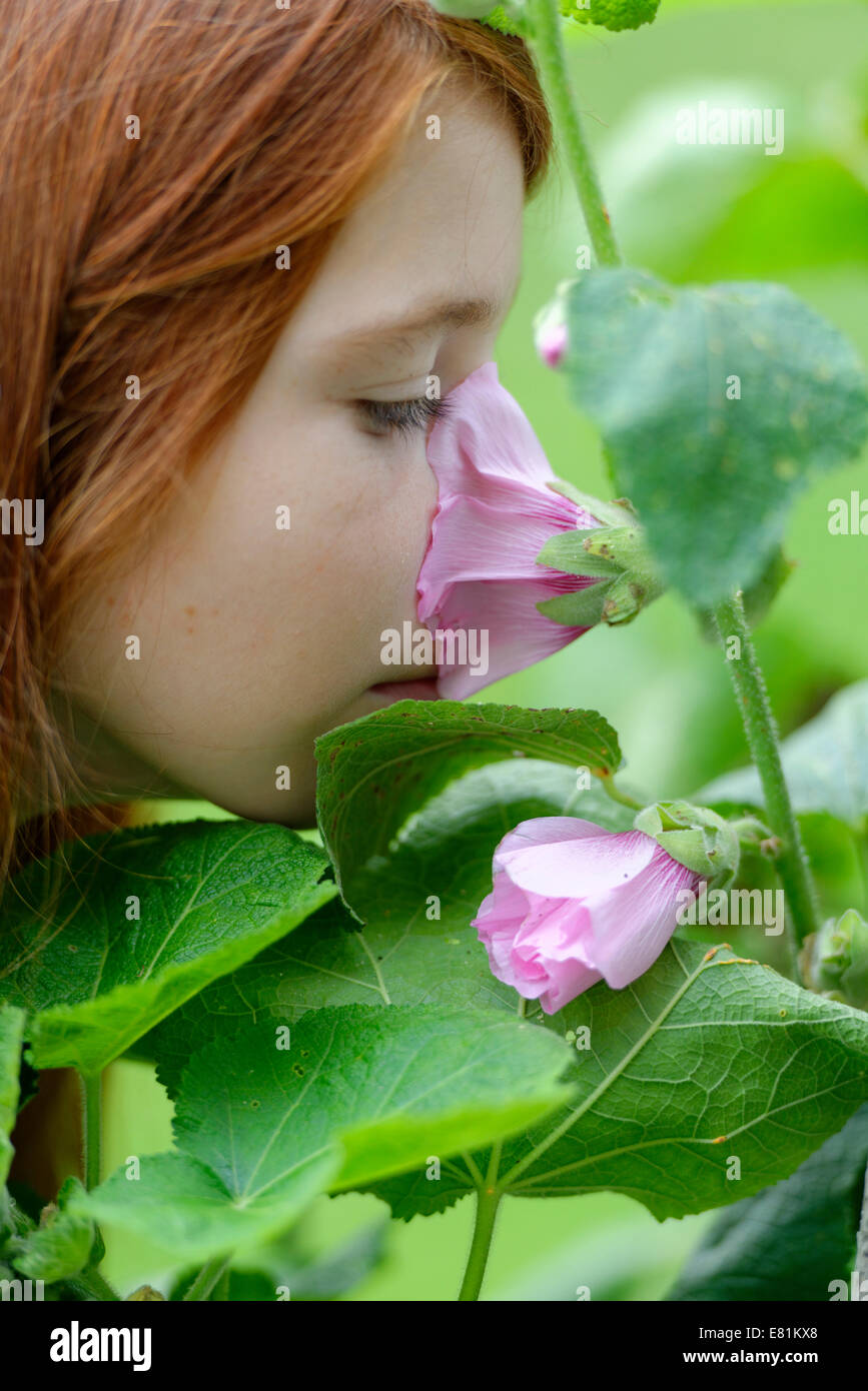 Ragazza odorare un Hollyhock (Alcea rosea) Foto Stock