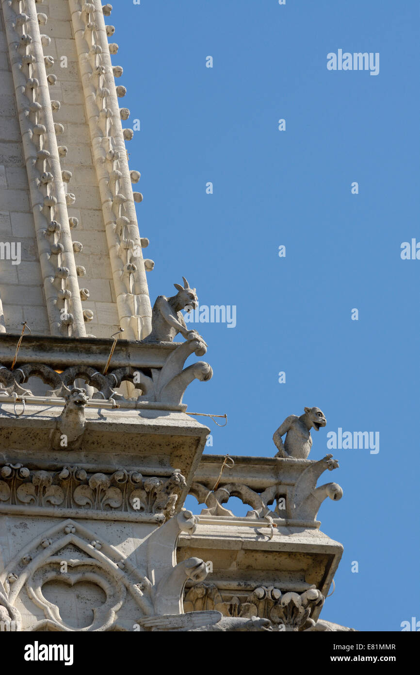 Creature mitiche, chimere sulla facciata della Cathédrale Notre Dame, Paris, Île-de-France, Francia Foto Stock