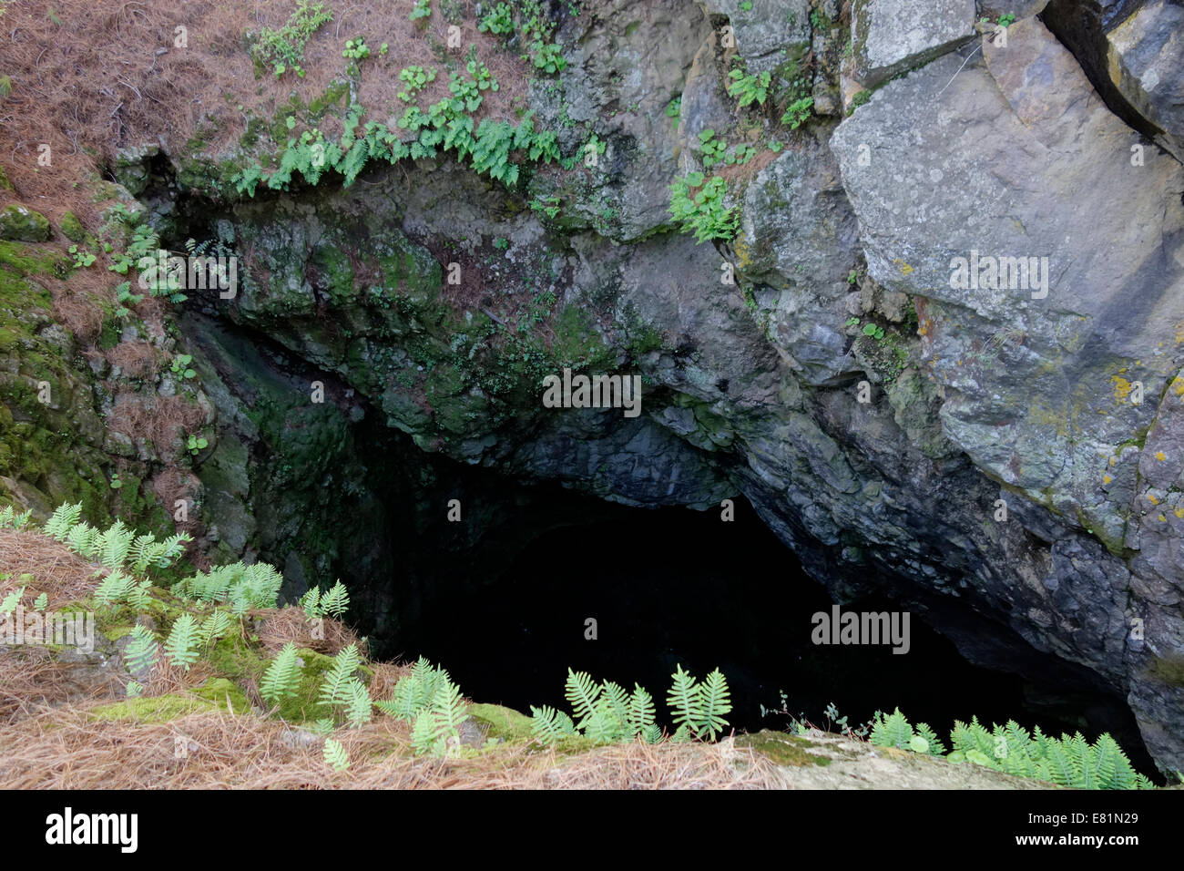 Sfiato vulcanica del Hoyo de La Sima, Cumbre Vieja, La Palma Isole Canarie Spagna Foto Stock