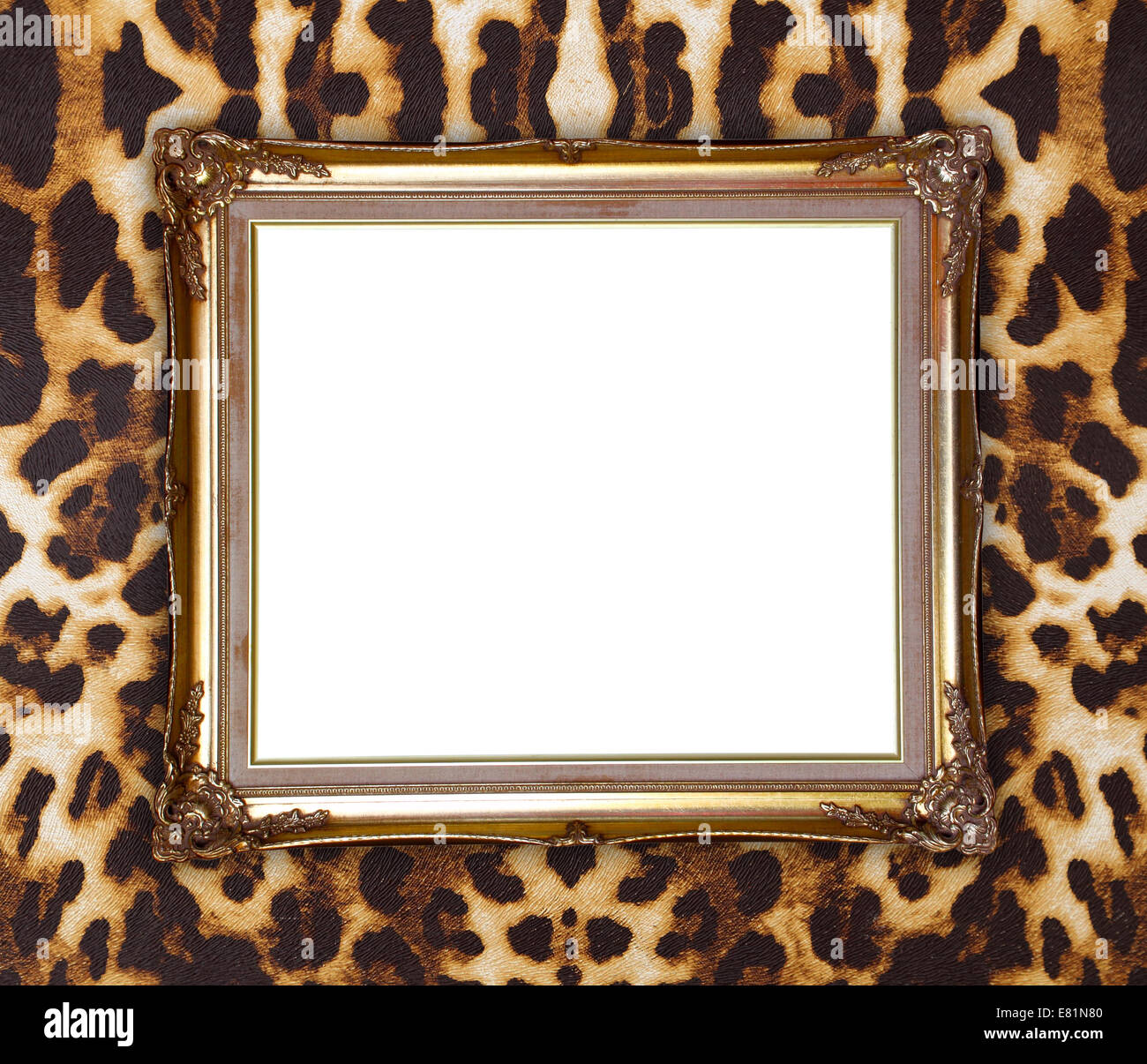 Blank cornice dorata con texture di Leopard Foto Stock