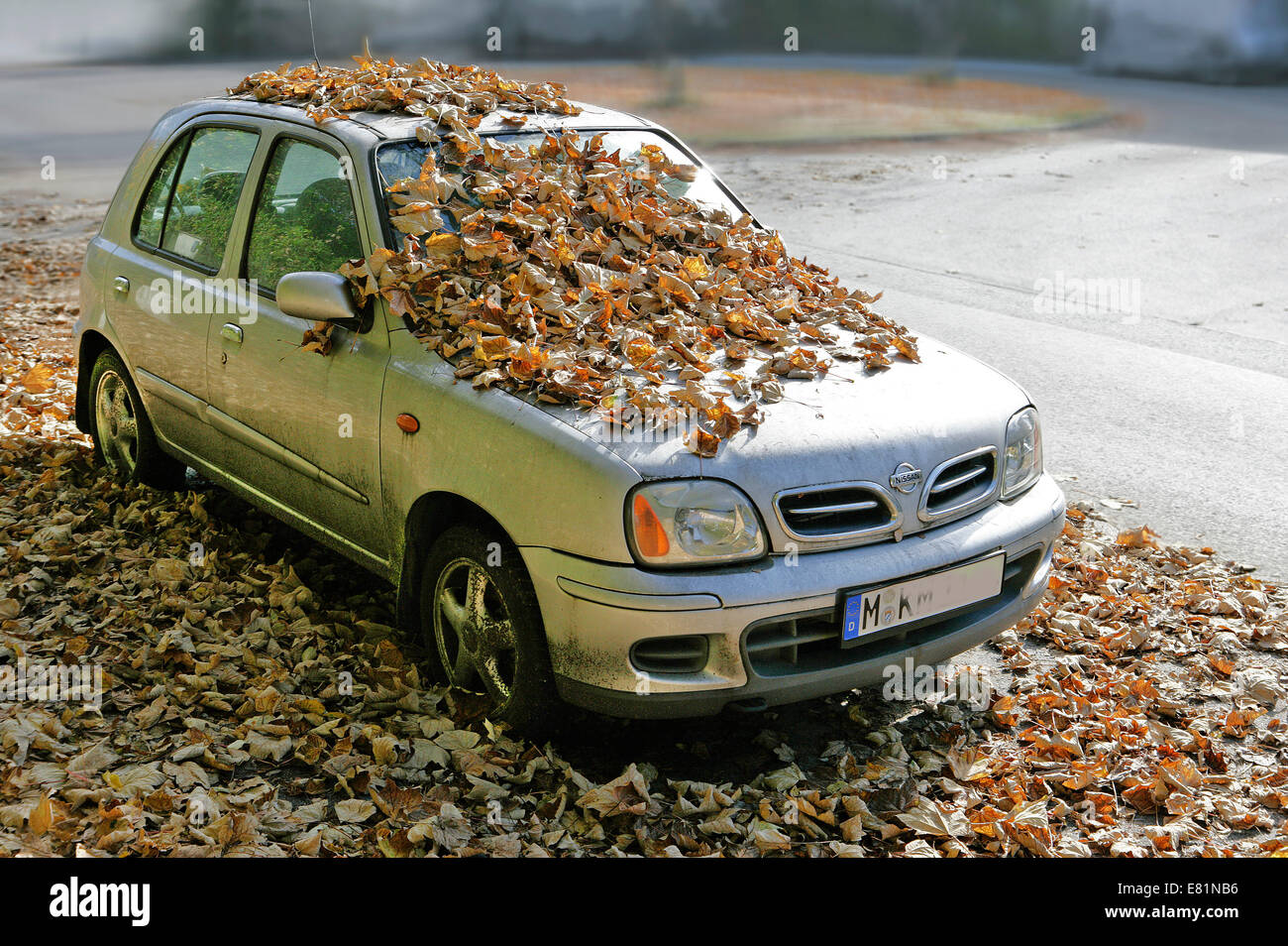 Nissan auto coperto di foglie di autunno, Germania Foto Stock