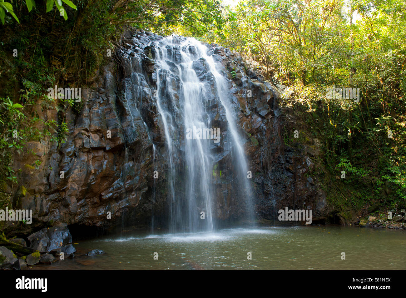 Ellinjaa Falls, Atherton altipiano, Queensland, Australia Foto Stock