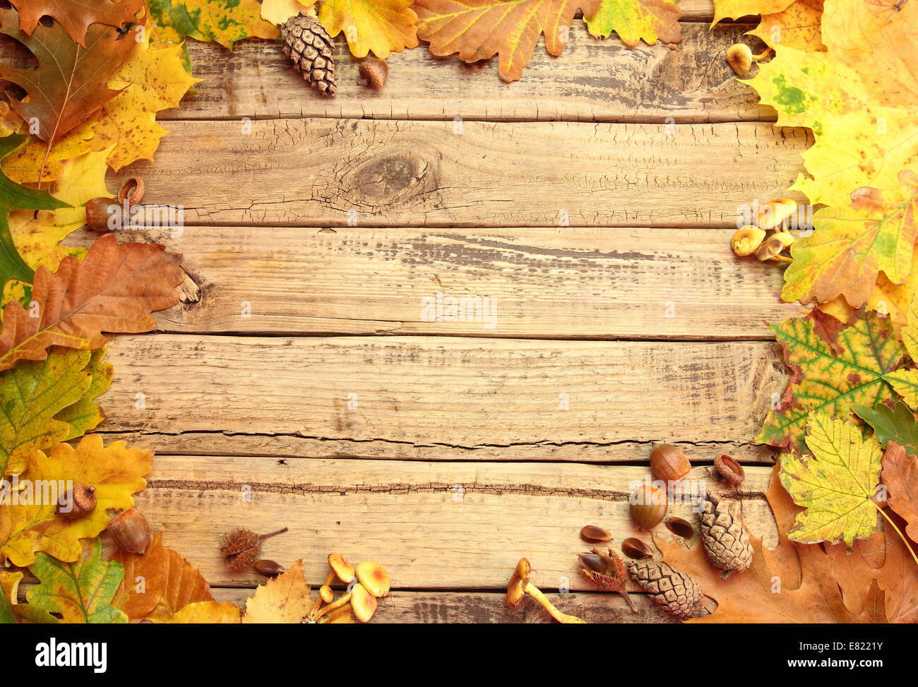 Autunno sfondo con foglie di funghi e ghiande sul pannello di legno Foto Stock