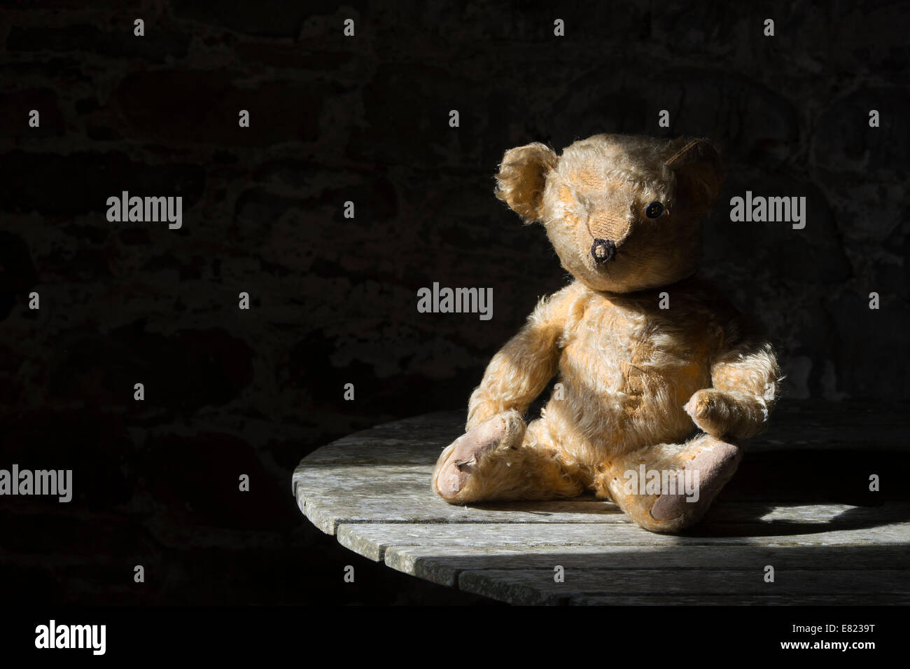 Vecchio Threadbare uno Eyed orsacchiotto seduto su una tavola di legno in presenza di luce solare Foto Stock