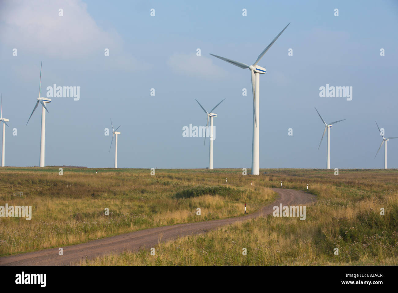 Diritto Dun est per centrali eoliche, Scottish Borders, Scotland, Regno Unito Foto Stock