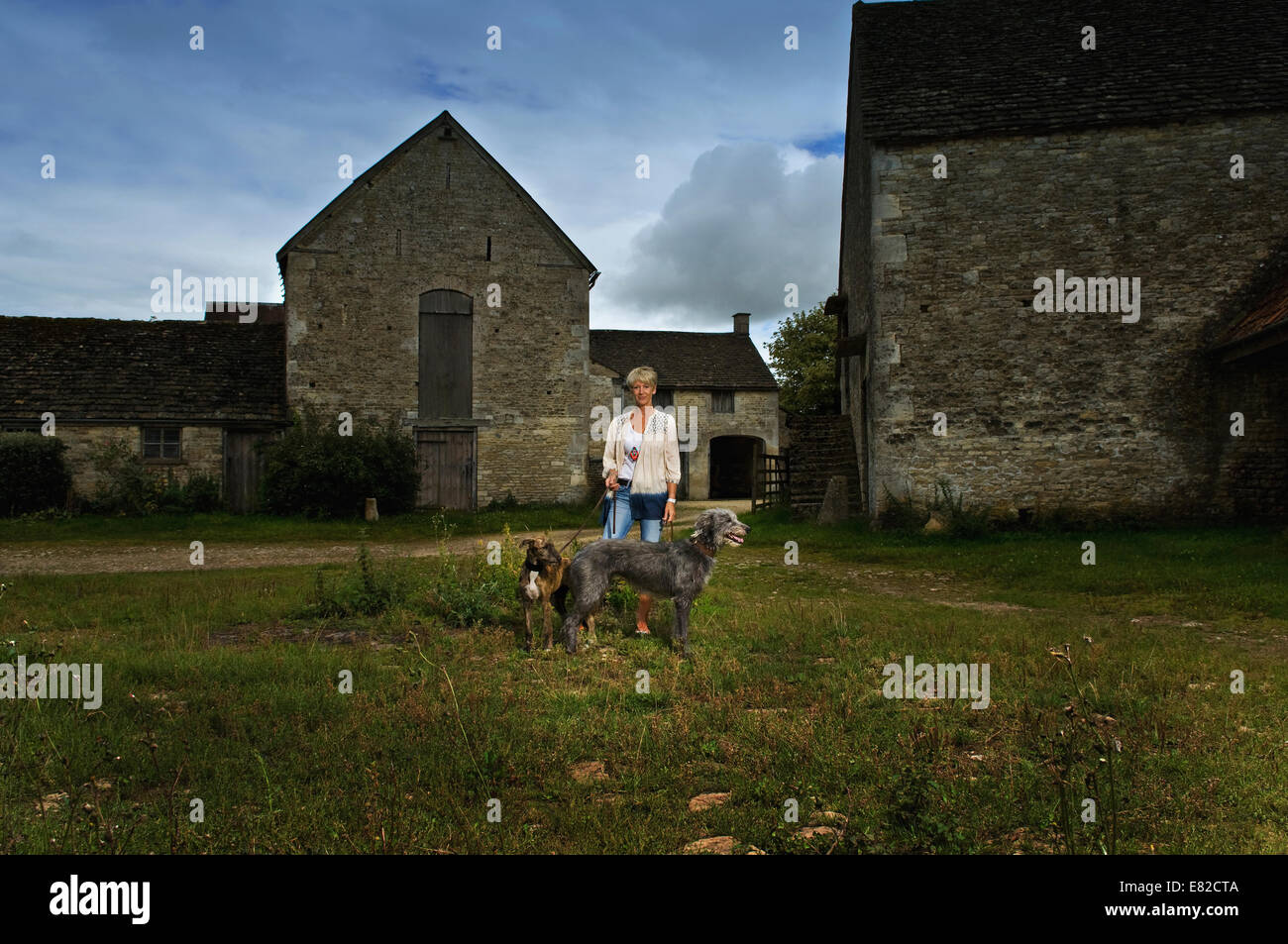 Una donna in piedi in ombra nel cortile di una fattoria con due grandi lurcher cani. Foto Stock