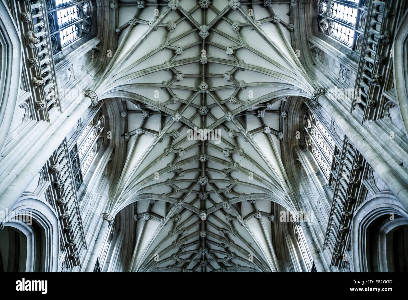 Regno Unito, Inghilterra, Hampshire, la Cattedrale di Winchester, inguine vault Foto Stock