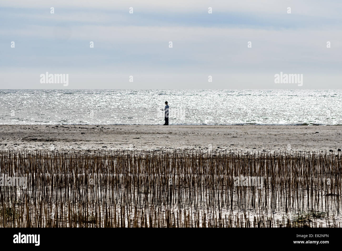 Spiaggia Blaavand presso il Danish costa del Mare del Nord in una giornata di sole Foto Stock