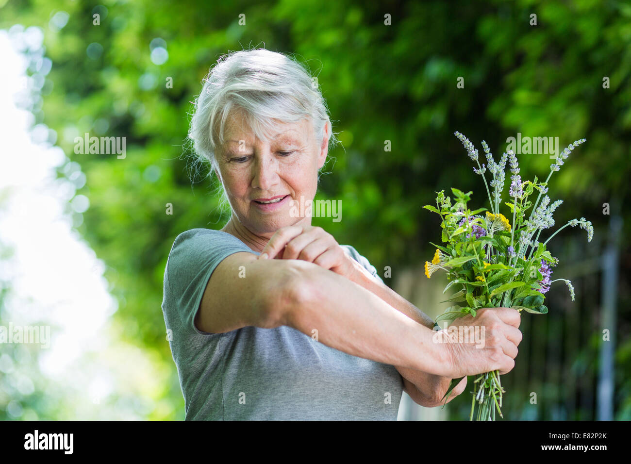 Il prurito. Foto Stock