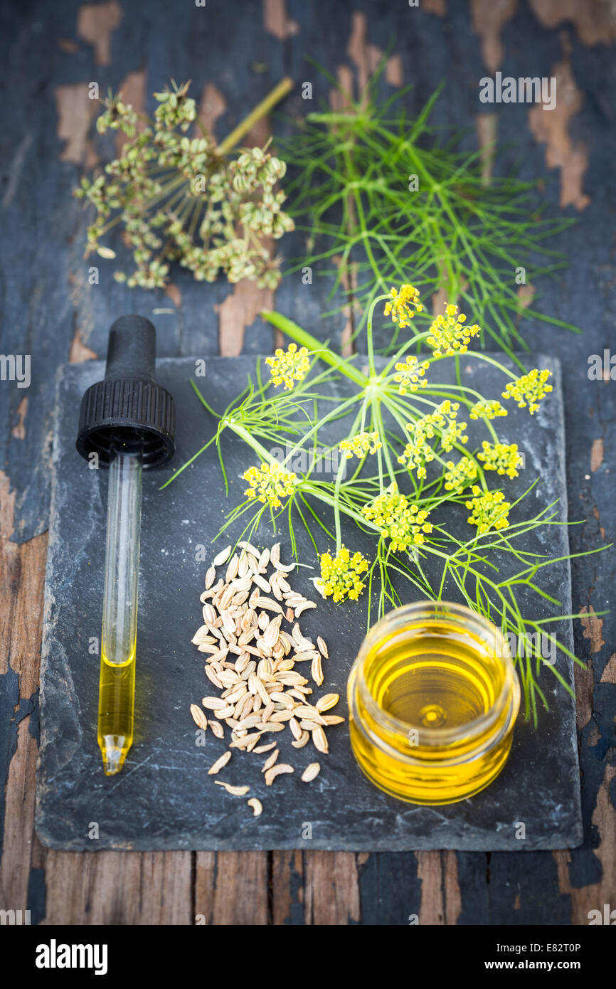 Olio essenziale di finocchio. Foto Stock