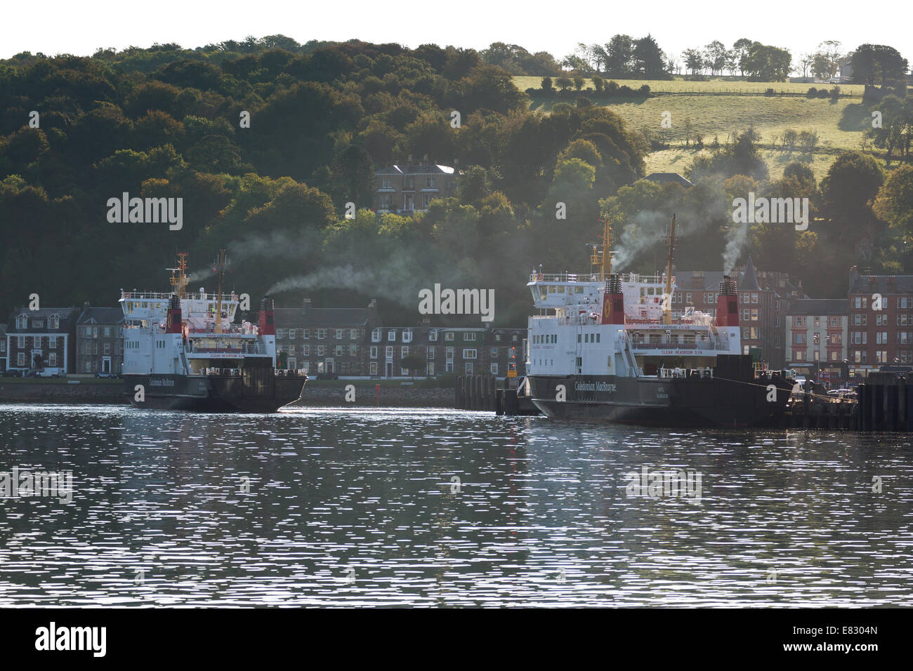 Caledonian MacBrayne ferry BUTE, barca a vela da Rothesay, Fiume Clyde in rotta per Wemyss Bay. La Scozia. Regno Unito Foto Stock