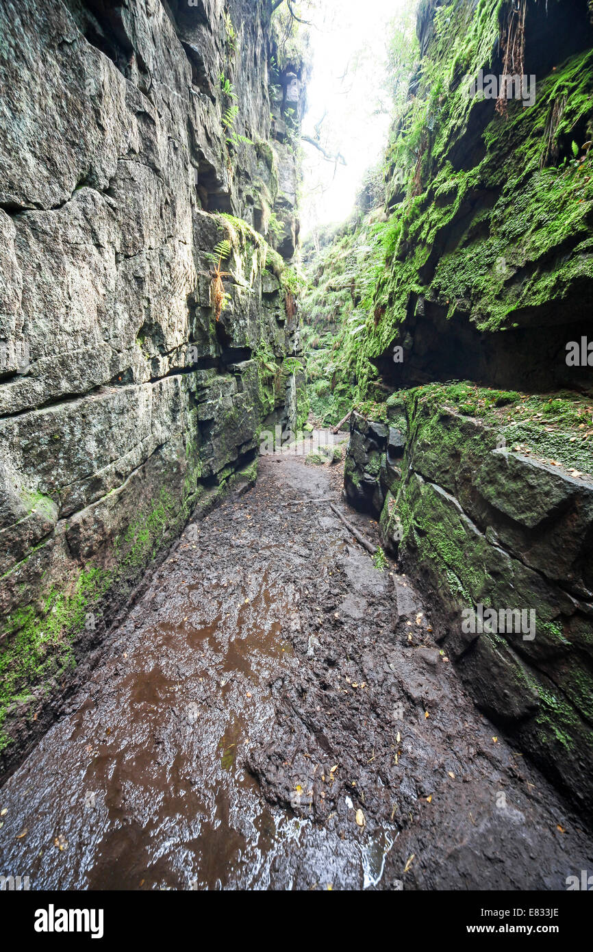 Lud la chiesa vicino a Gradbach nelle colline di scarafaggi Staffordshire Peak District Inghilterra REGNO UNITO Foto Stock