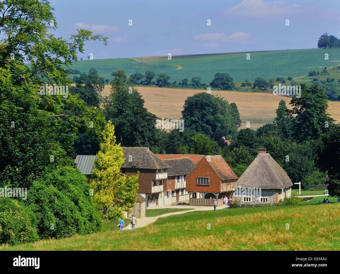 Weald and Downland museo vivente. West Sussex. In Inghilterra. Regno Unito Foto Stock