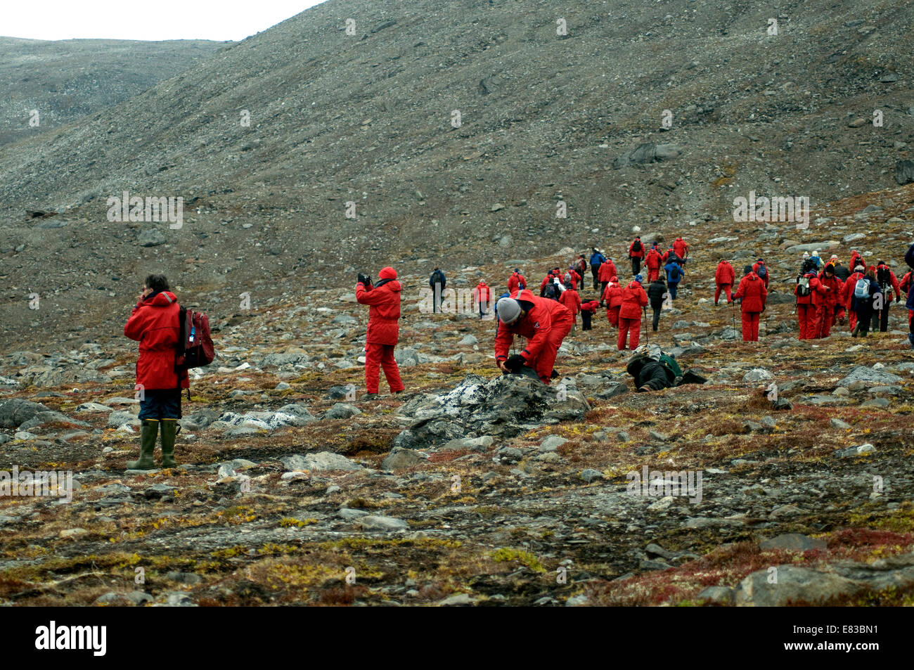 Escursionisti sulla tundra--Arctic camminatori esplorare la natura della munificenza nel felicemente chiamato Sunneshine Fjord Foto Stock