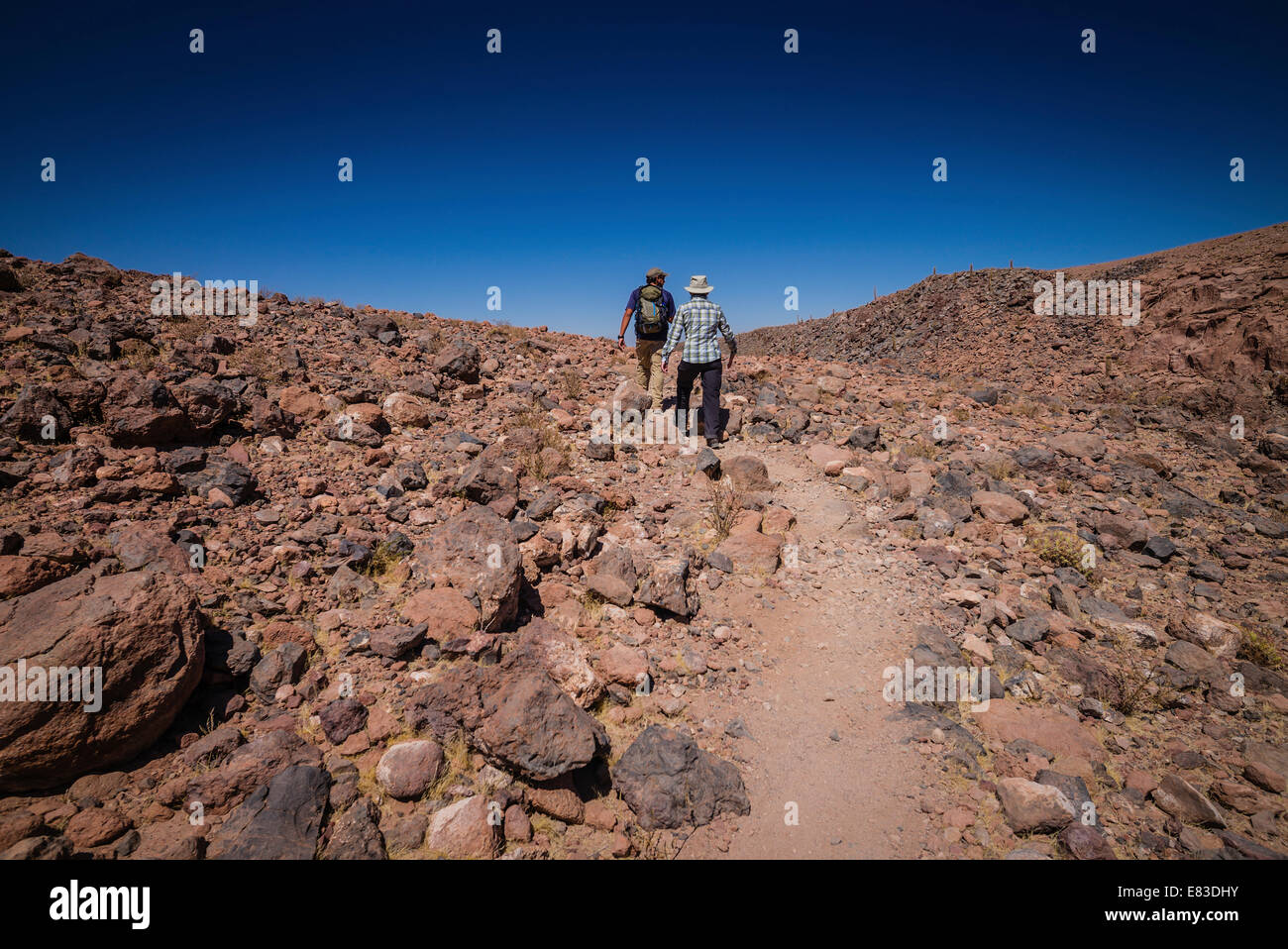 Salendo al di fuori del cactus Gorge, il Deserto di Atacama, Cile. Foto Stock