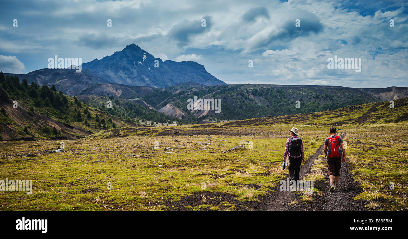 Percorso della desolazione, Osorno, Cile. Foto Stock