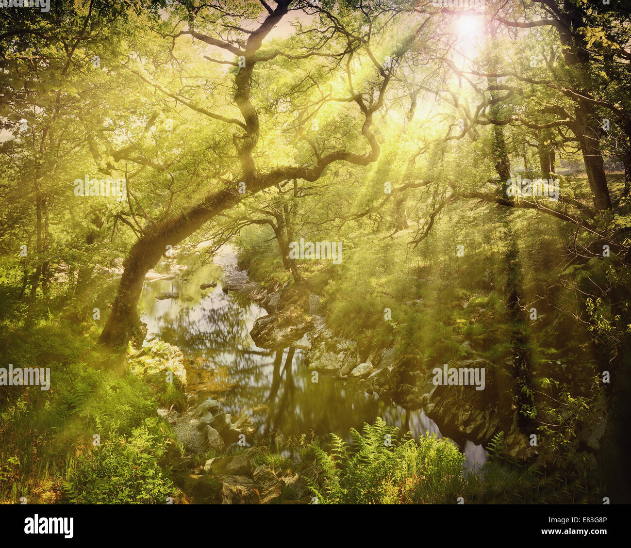 GB - Galles: Avon Machno vicino a Betws-y-coed Foto Stock