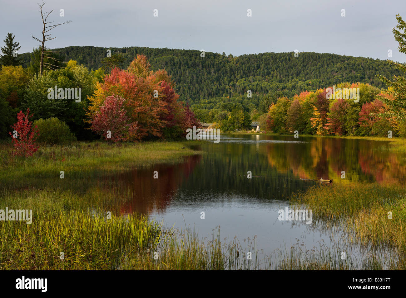 I colori dell'autunno sul fiume Mattawa a Mattawa isola al tramonto Ontario Canada Foto Stock