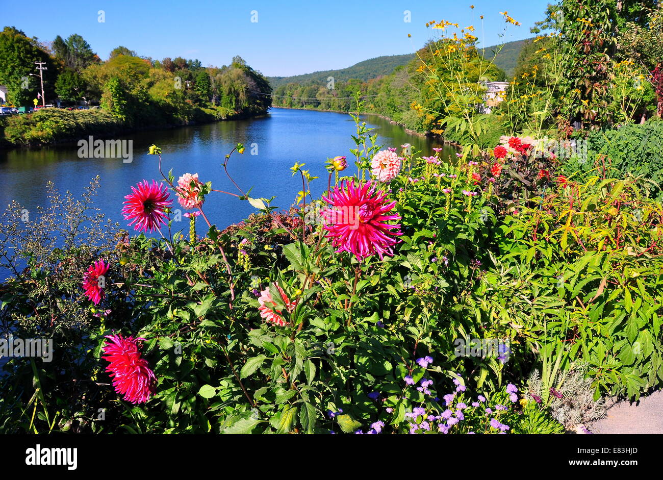 Shelbune Falls, Massachusetts: colorato piante annue comprese masse di dalie linea il ponte dei fiori Foto Stock