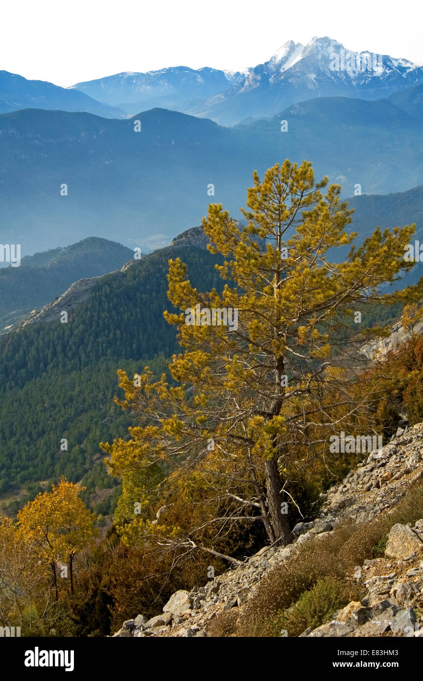 Pirenei mountain range, i colori dell'Autunno Foto Stock