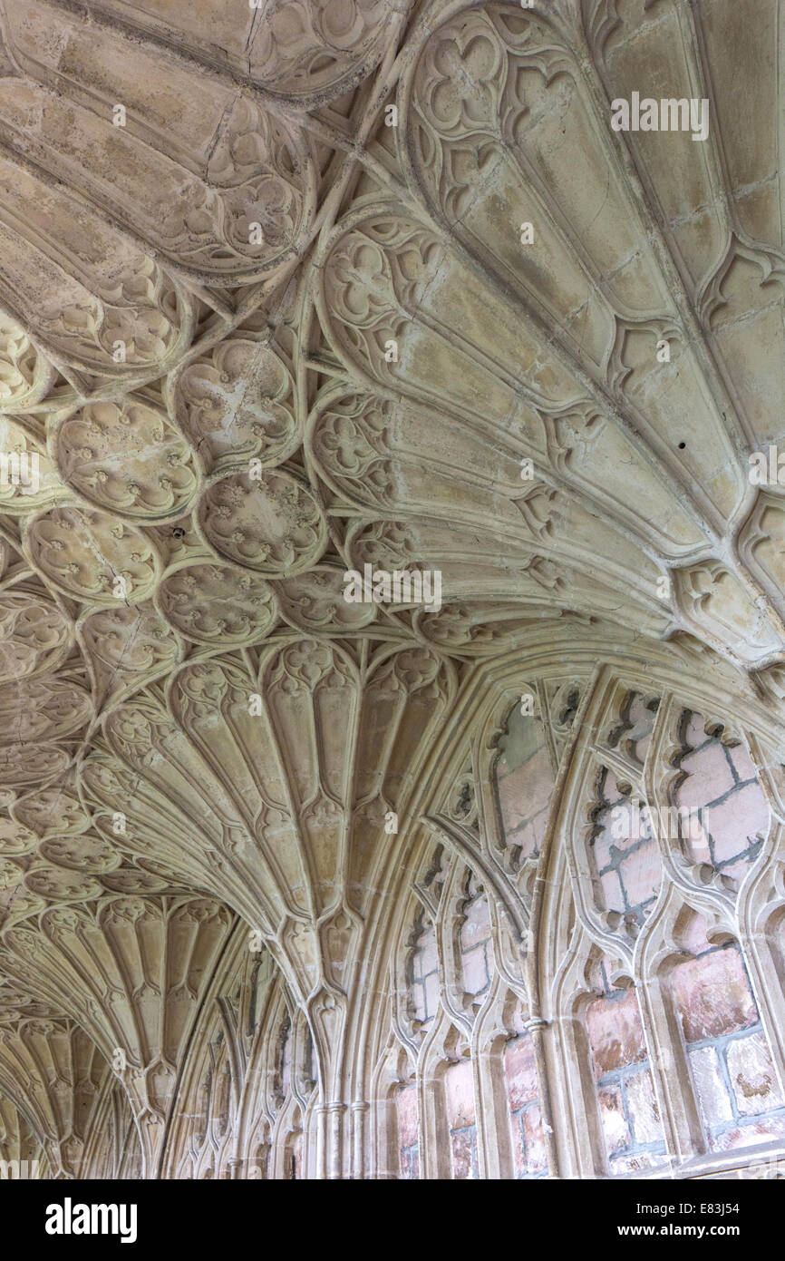 Lo stile gotico vaulting ventola in oriente chiostro, Cattedrale di Gloucester, Gloucestershire, England, Regno Unito Foto Stock