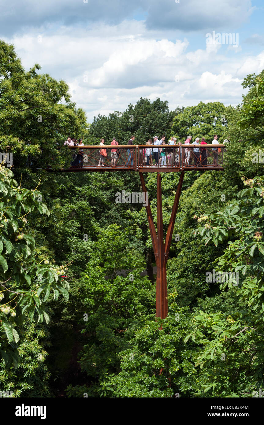 Xstrata Treetop Walkway a Kew Gardens, Londra, Inghilterra, Regno Unito Foto Stock