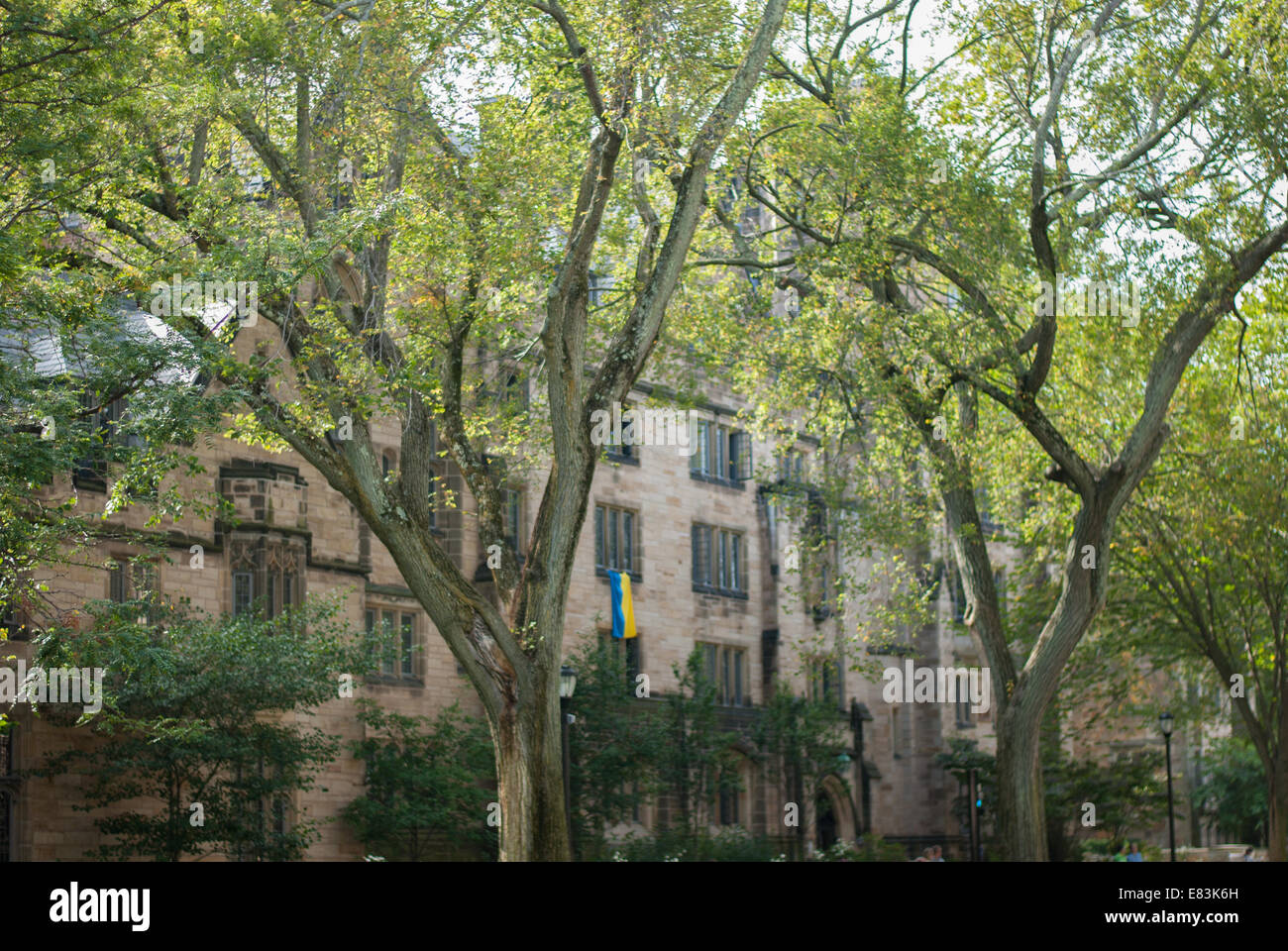 Il dormitorio presso l Università di Yale che rappresenta una bandiera Ucraina Foto Stock