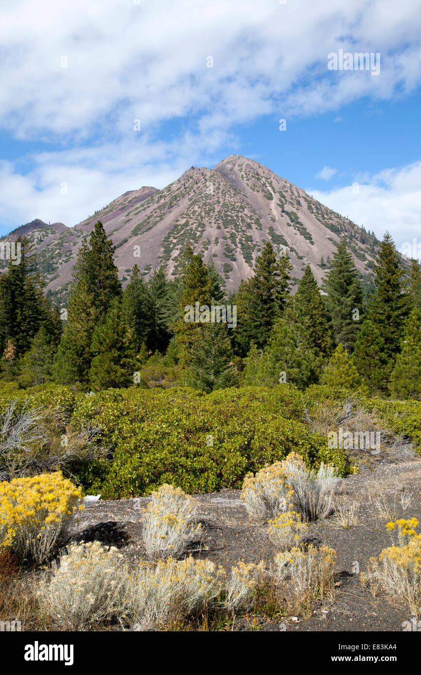 Black Butte Mountain nei pressi di erbaccia, CA, la molla 2014. Foto Stock