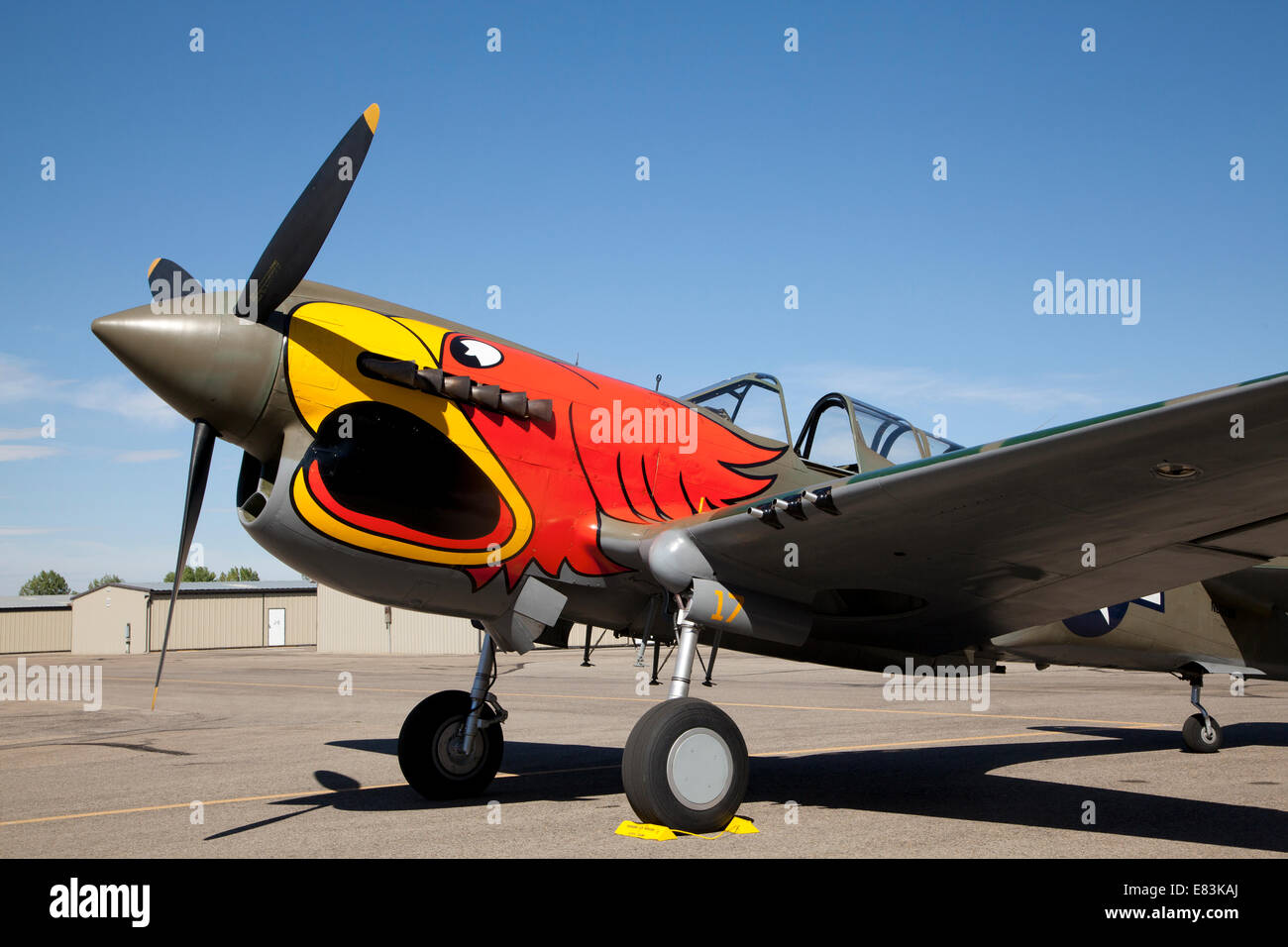 Ripristinato Curtiss P-40 Warhawk al Museo Warbirds, Nampa, Idaho, Stati Uniti, 2014. Foto Stock