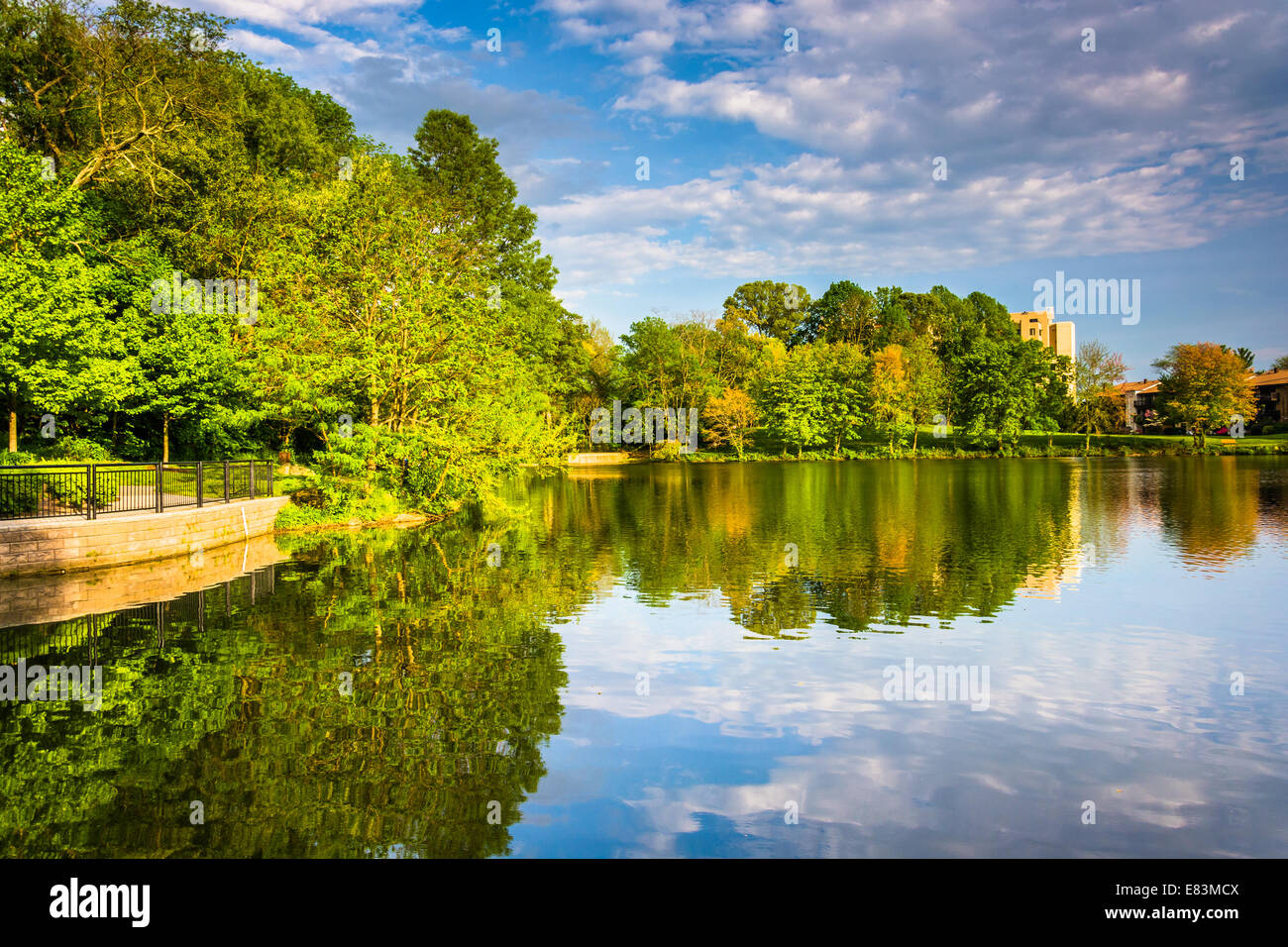 Sera riflessioni a Wilde Lago in Columbia, Maryland. Foto Stock