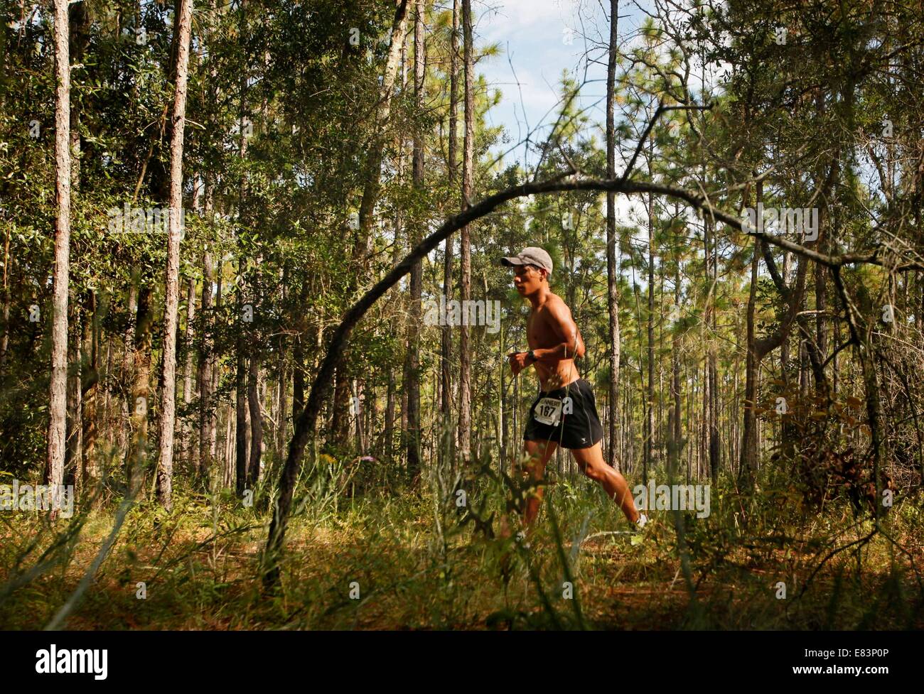 Ottobre 10, 2009 - Hernando, Fl, Stati Uniti d'America - foto: didascalia: [Hernando - 10/10/09)].Chi corre a camma il John Holmes 16 mile fun run sabato mattina, 10/10/09, Withlacoochee la Foresta di Stato a nord-est di Brooksville. 50k Trail Run e 16 Mile Fun Run per la storia in personale migliore sezione circa trail running. (Credito Immagine: © San Pietroburgo volte/ZUMA filo) Foto Stock