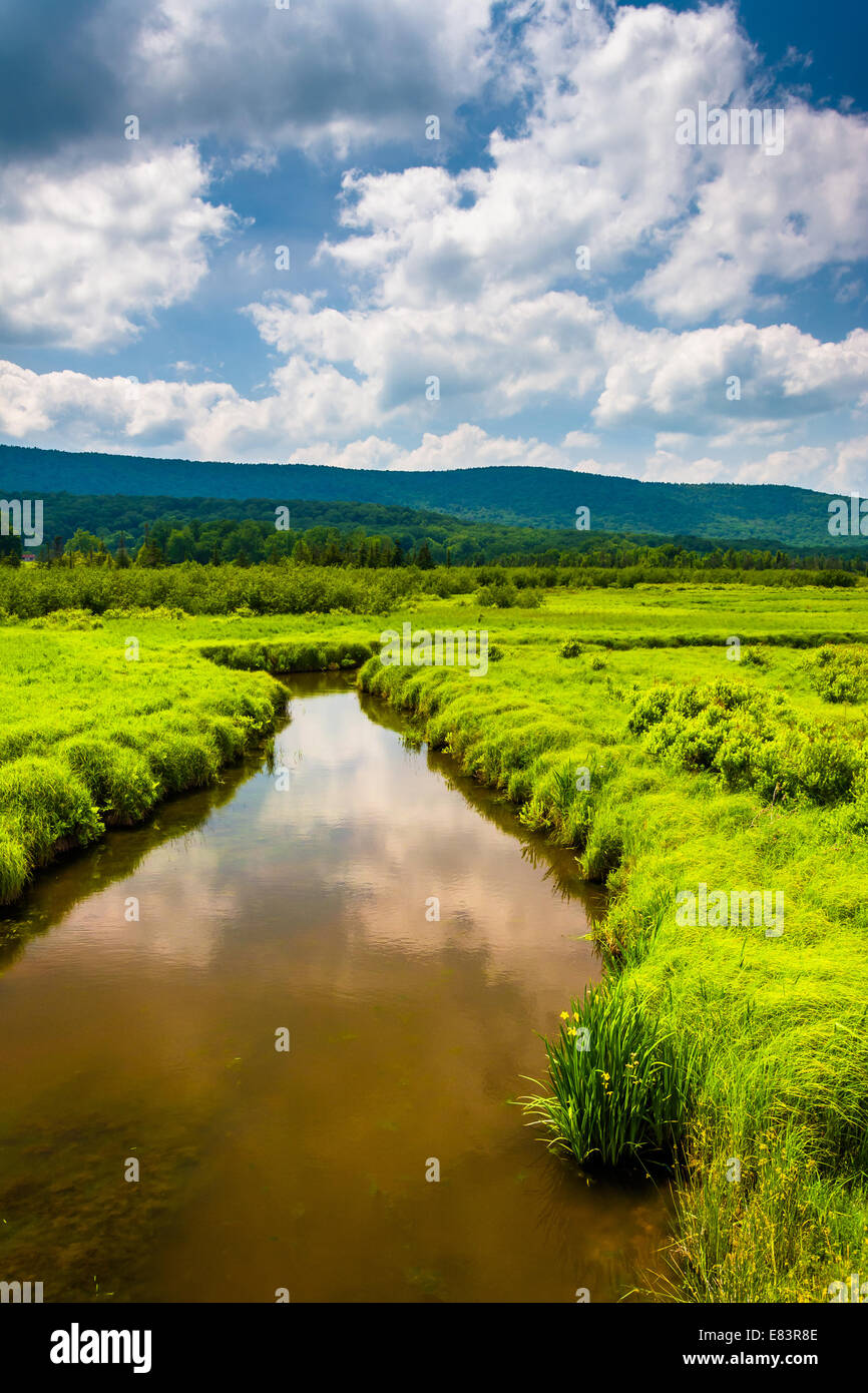 Piccolo ruscello e montagne distanti a Canaan Valley State Park, West Virginia. Foto Stock