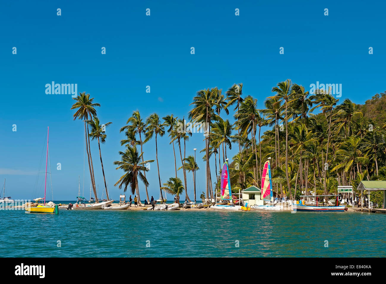 Marigot Bay, Castries, Saint Lucia, dei Caraibi Foto Stock